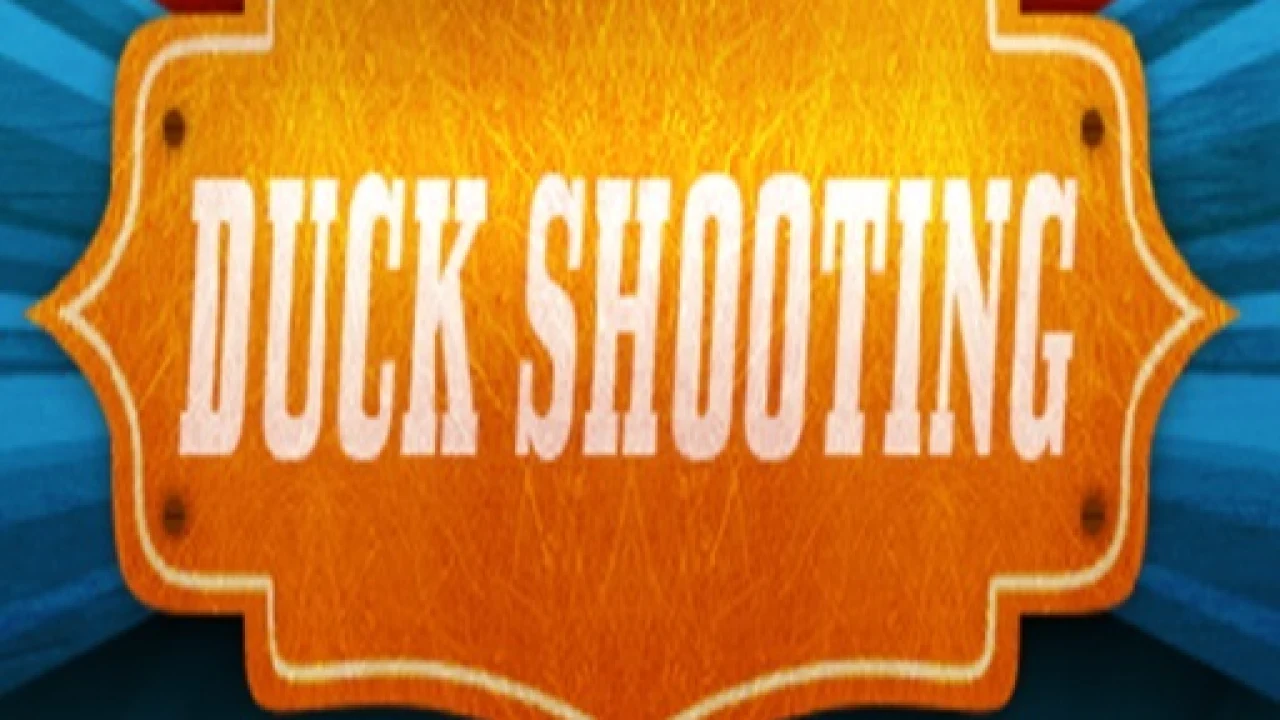 DuckShooting Puzzle Challenge Solved image