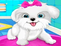 Puppy: Pet Salon Dog Daycare