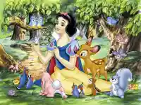 Snow White Hidden Stars