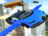 ULTIMATE FLYING CAR CRAZY
