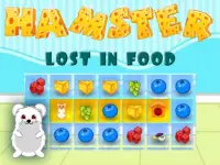 Hamster Lost In Food