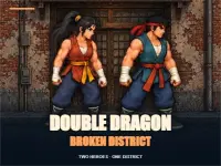 Double Dragon: Broken District
