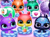 Hatch Cute Bunnies