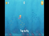 Coral Adventure
