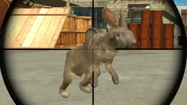 Rabbit